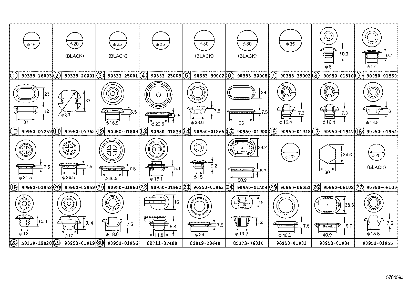  CT200H |  HOLE PLUG