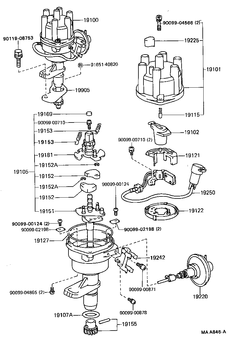  CRESSIDA |  DISTRIBUTOR