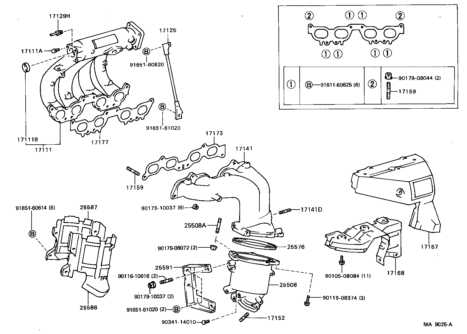  CELICA |  MANIFOLD