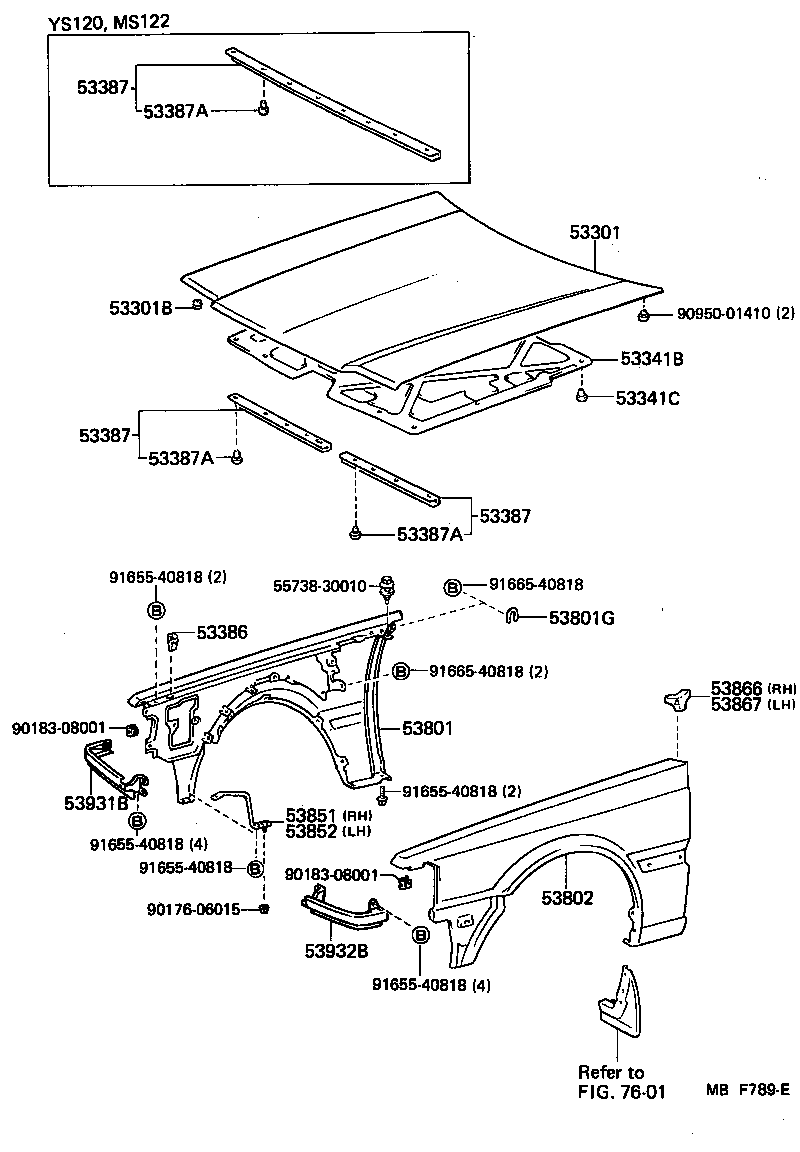 CROWN |  HOOD FRONT FENDER