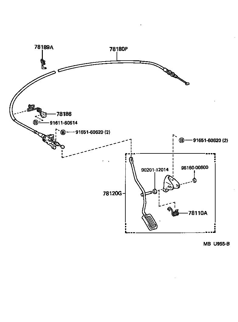  TERCEL |  ACCELERATOR LINK