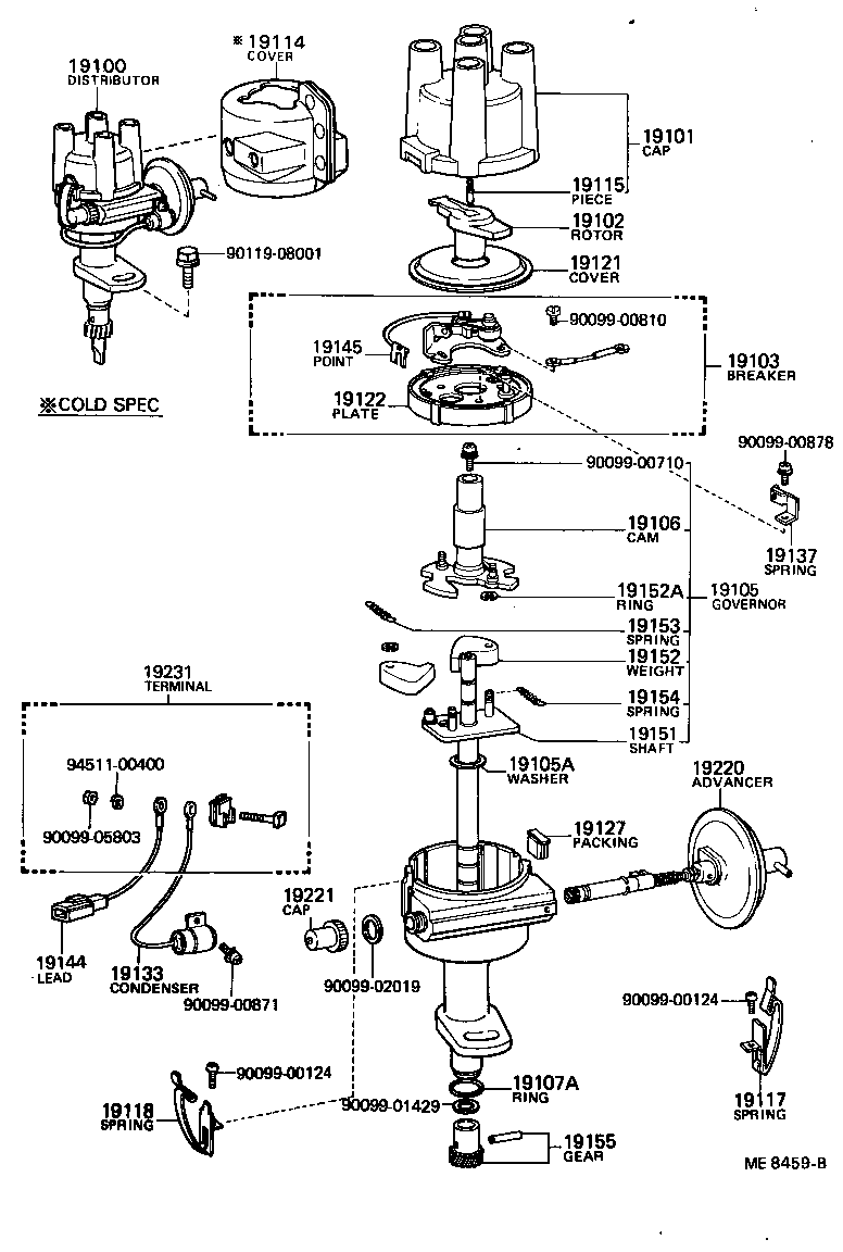  CORONA |  DISTRIBUTOR