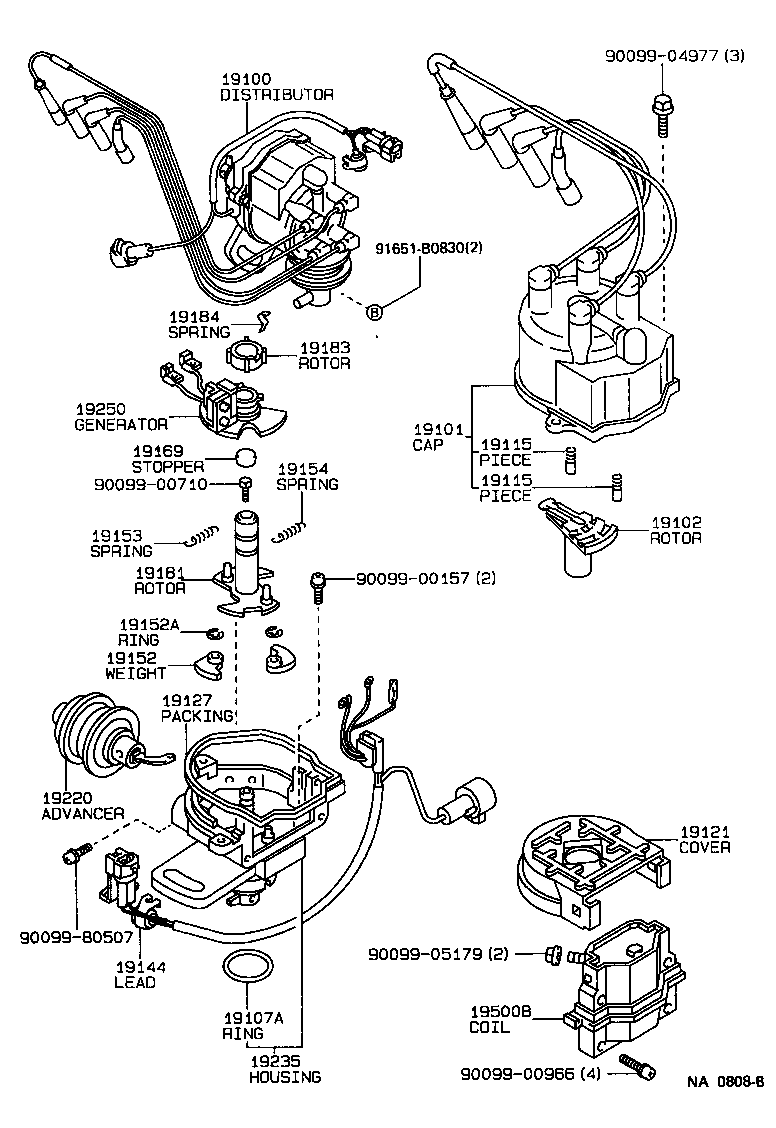  TERCEL |  DISTRIBUTOR