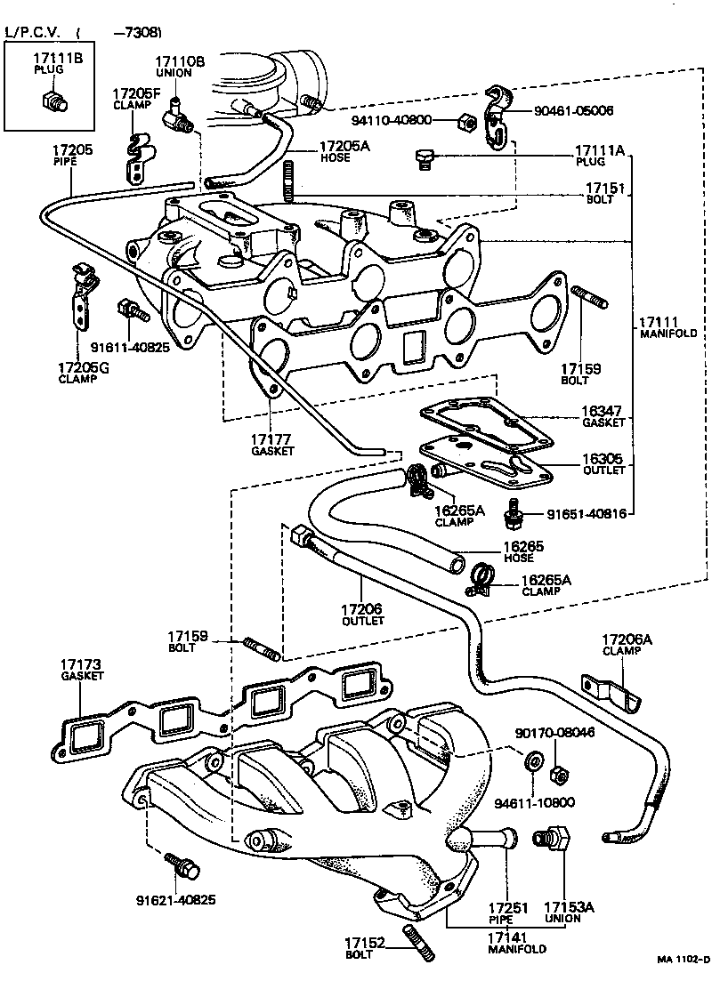  CARINA |  MANIFOLD