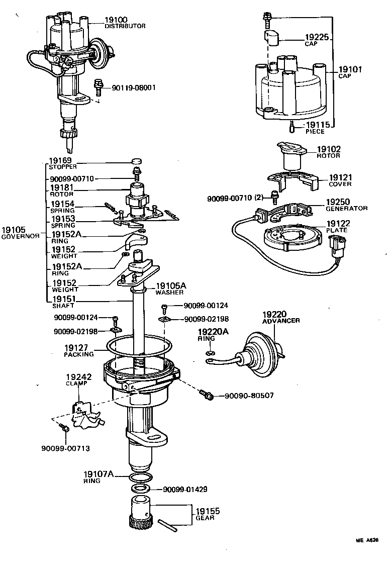  CARINA |  DISTRIBUTOR