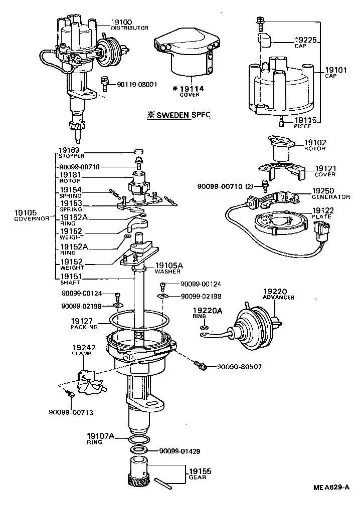  CARINA |  DISTRIBUTOR