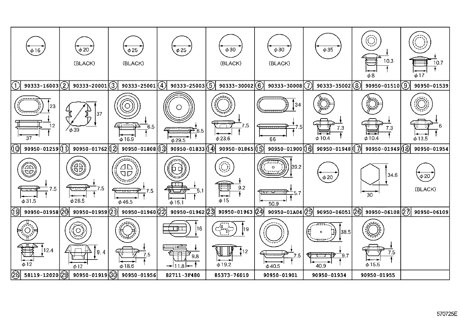  CT200H |  HOLE PLUG