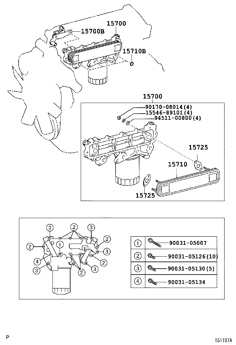  DYNA |  ENGINE OIL COOLER