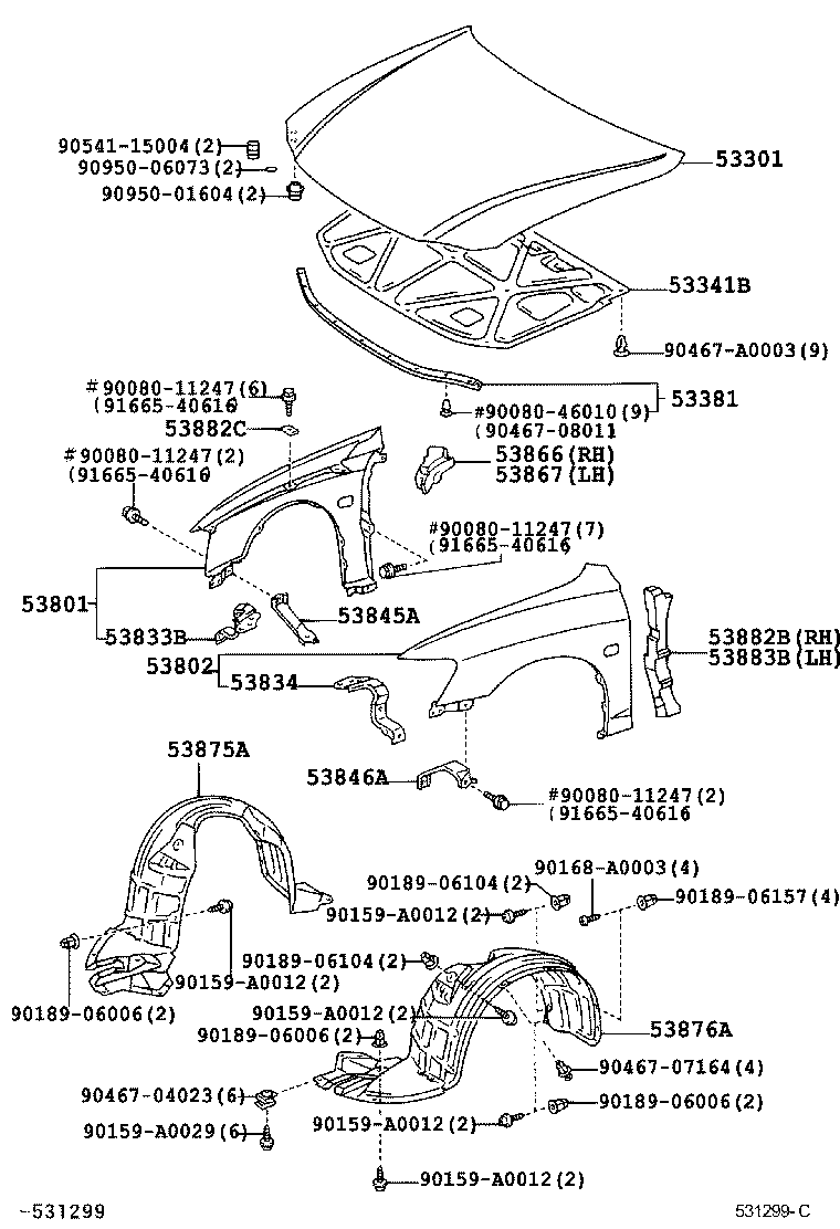  AVALON |  HOOD FRONT FENDER