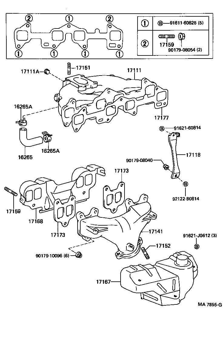  STARLET |  MANIFOLD