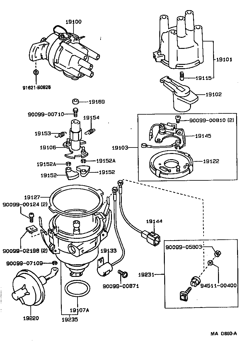  STARLET |  DISTRIBUTOR