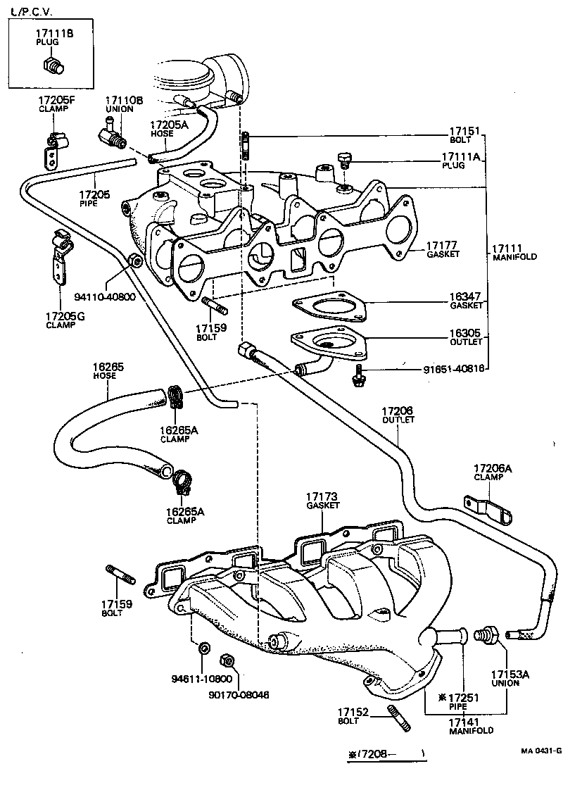  CARINA |  MANIFOLD