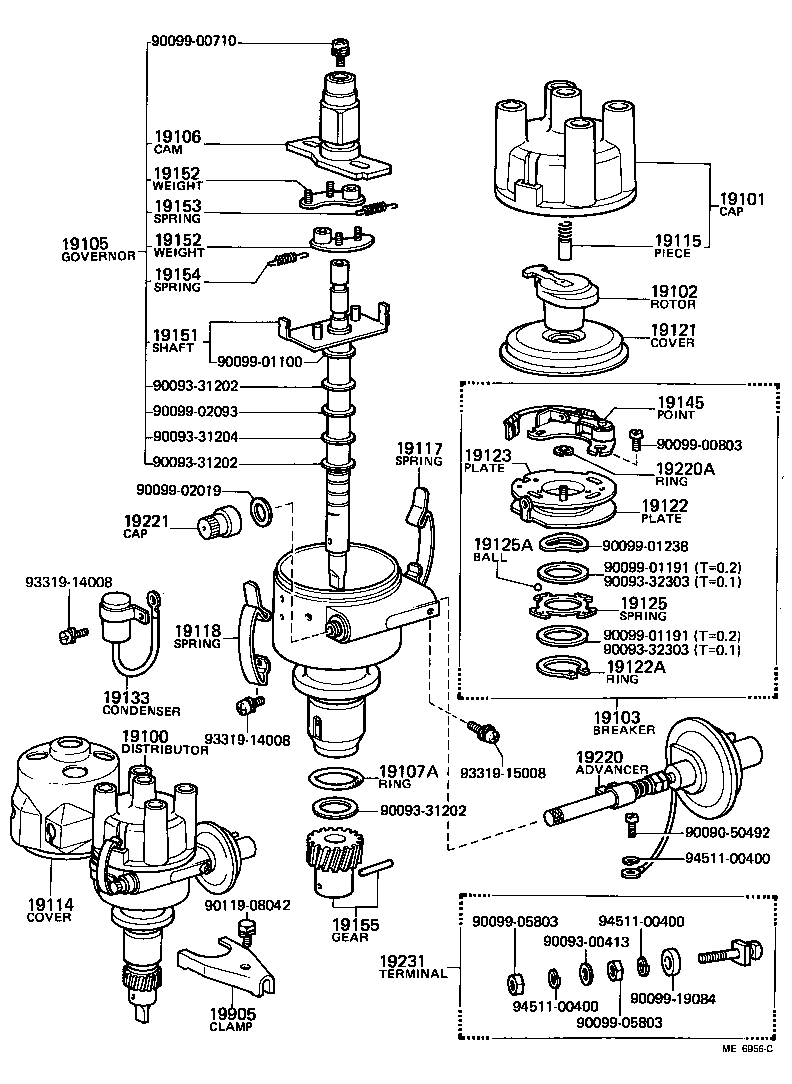  STARLET |  DISTRIBUTOR