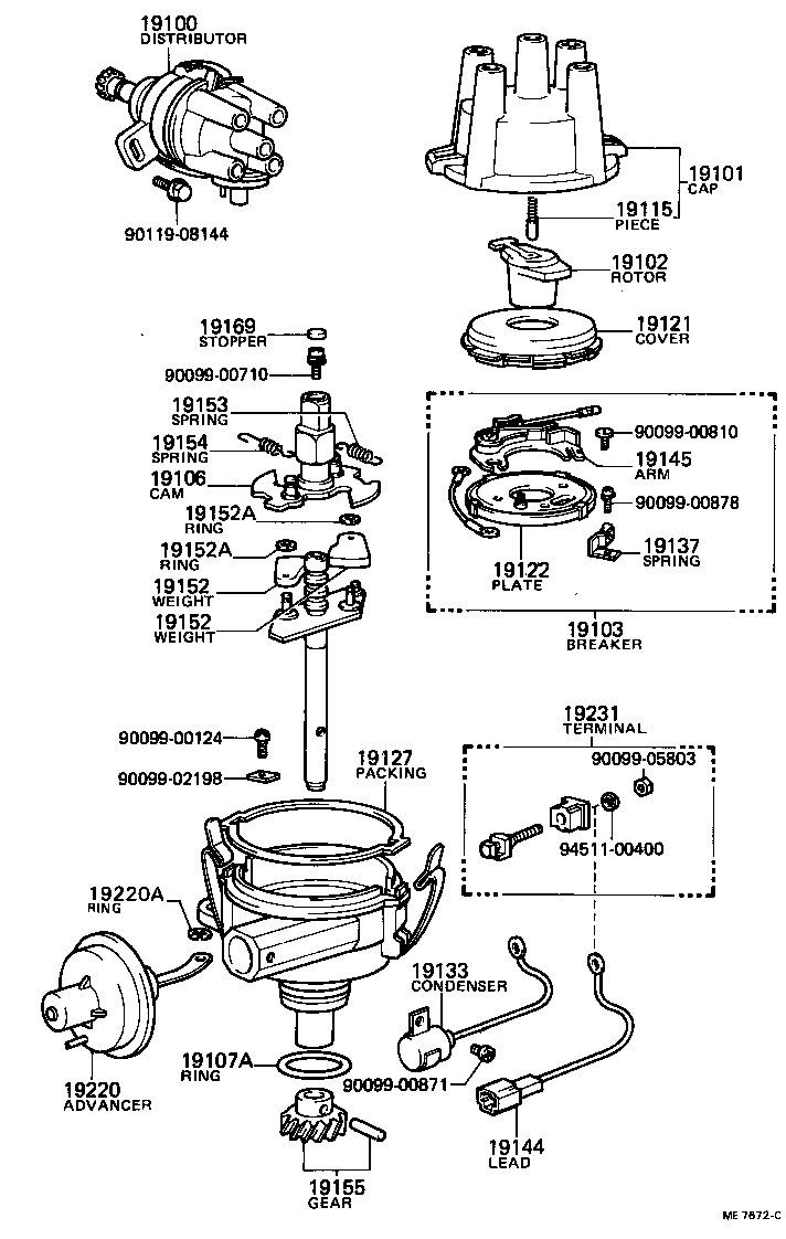  TERCEL |  DISTRIBUTOR