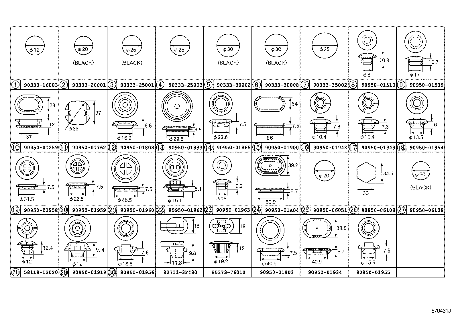  CT200H |  HOLE PLUG