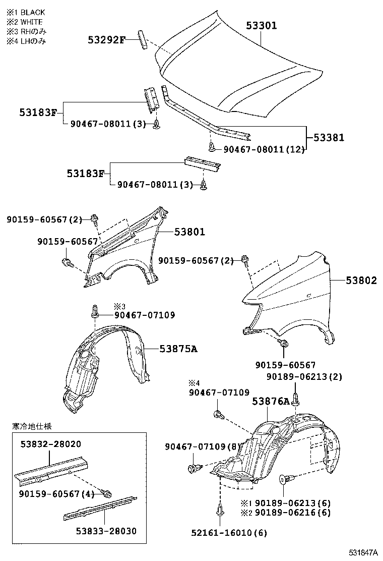 LITE TOWNACE NOAH V |  HOOD FRONT FENDER