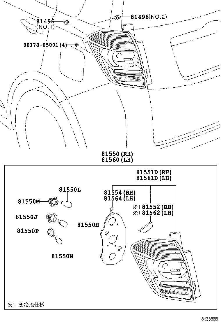  RACTIS |  REAR COMBINATION LAMP