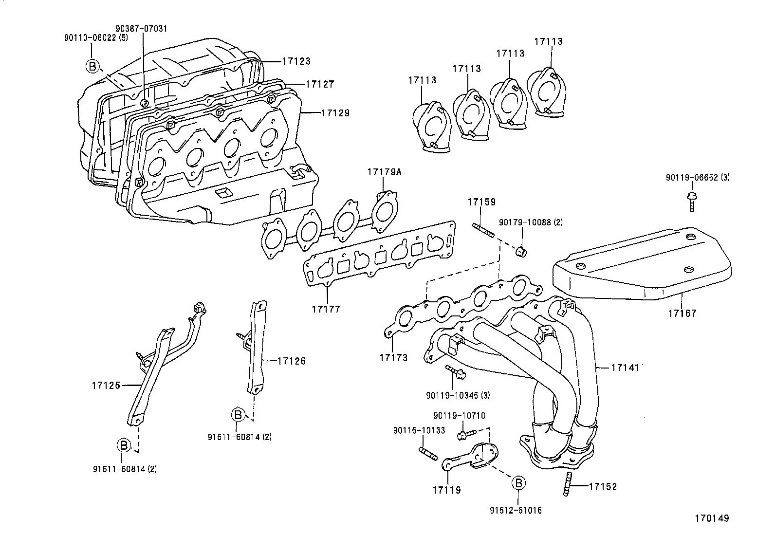  CARINA FF |  MANIFOLD