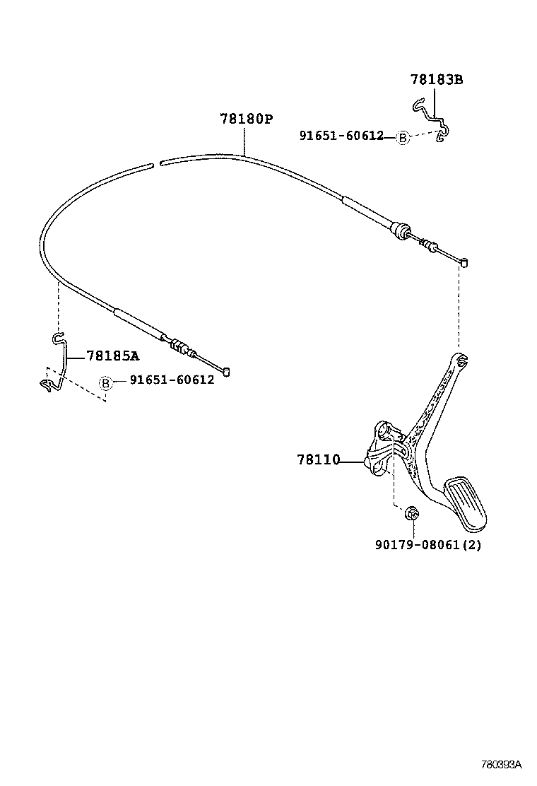  VITZ |  ACCELERATOR LINK