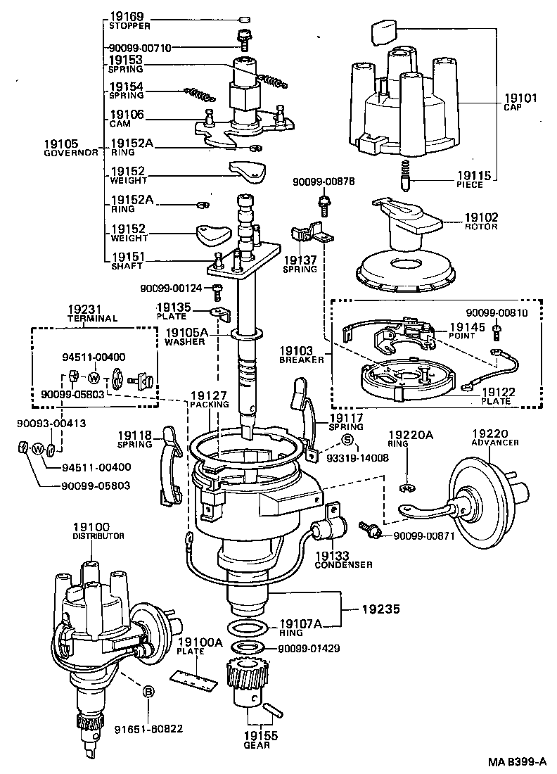  TOWN MASTERACE V WG |  DISTRIBUTOR