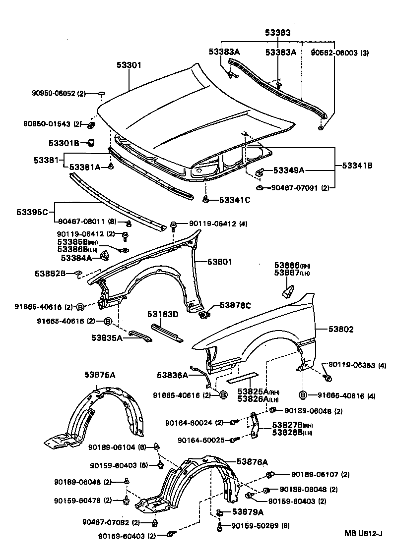  CAMRY VISTA |  HOOD FRONT FENDER