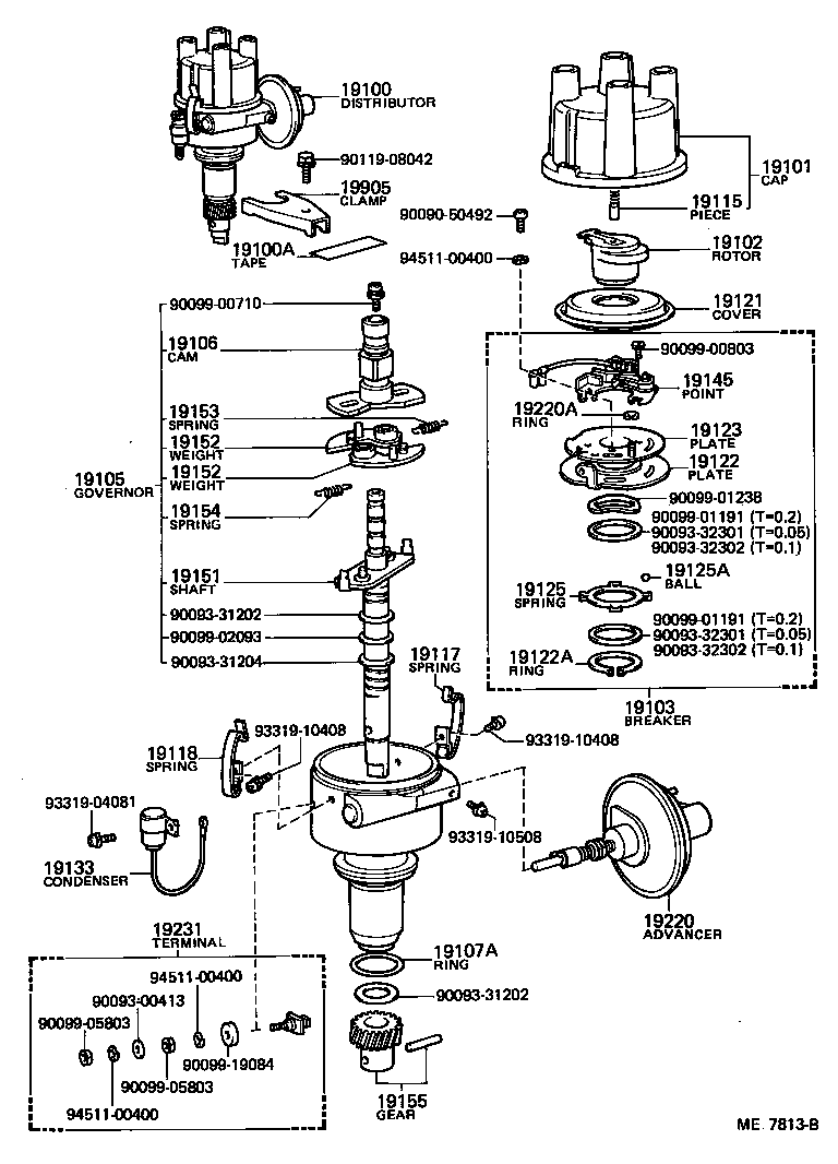  STARLET |  DISTRIBUTOR