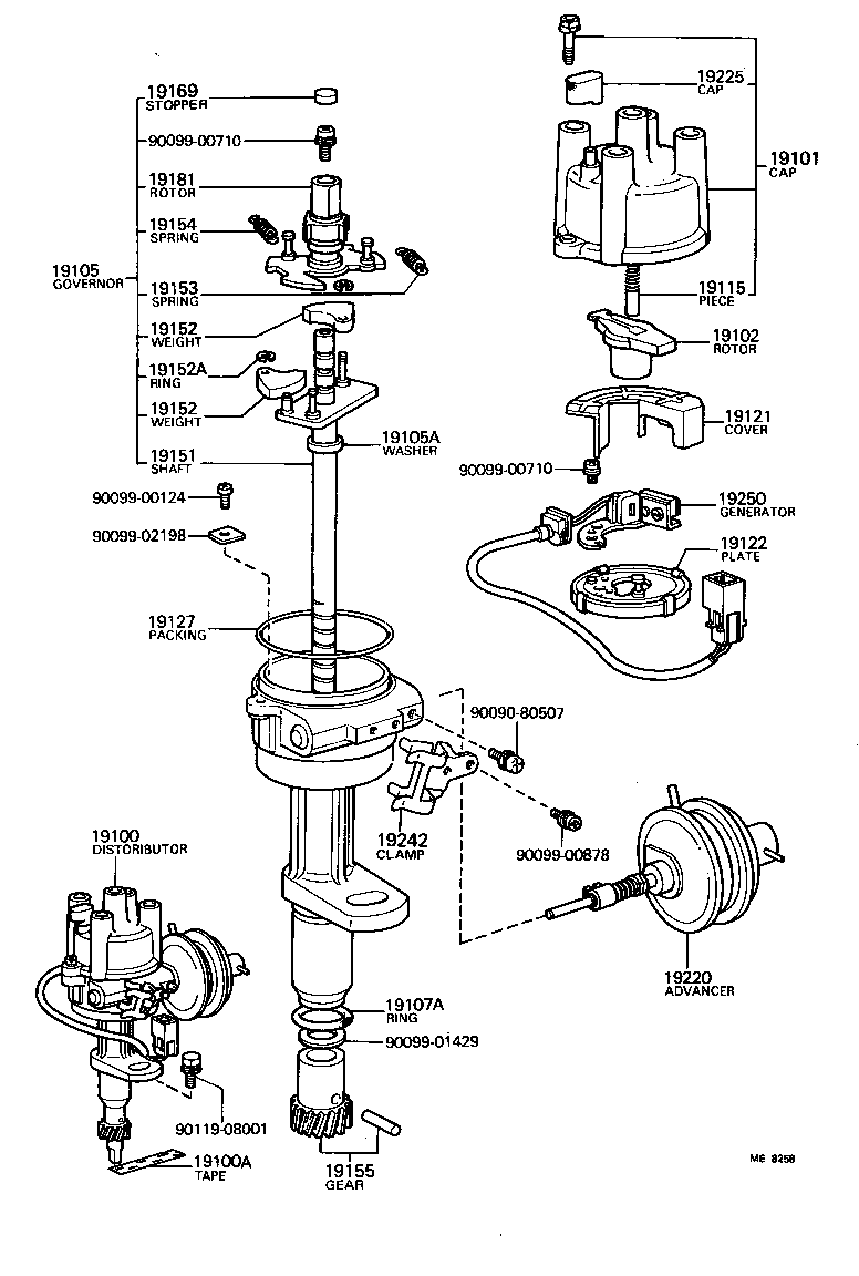  TOWN MASTERACE V WG |  DISTRIBUTOR