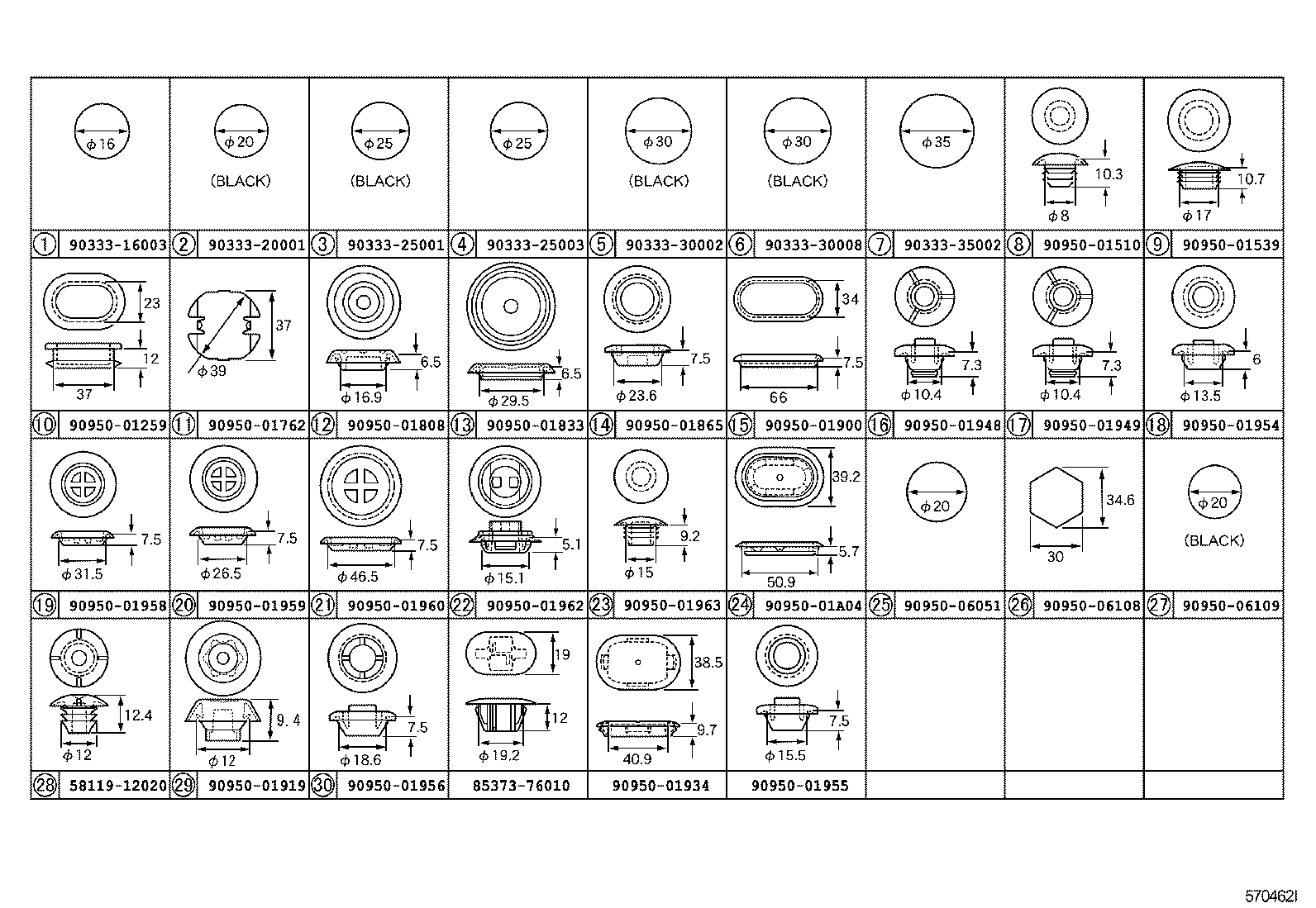  CT200H |  HOLE PLUG