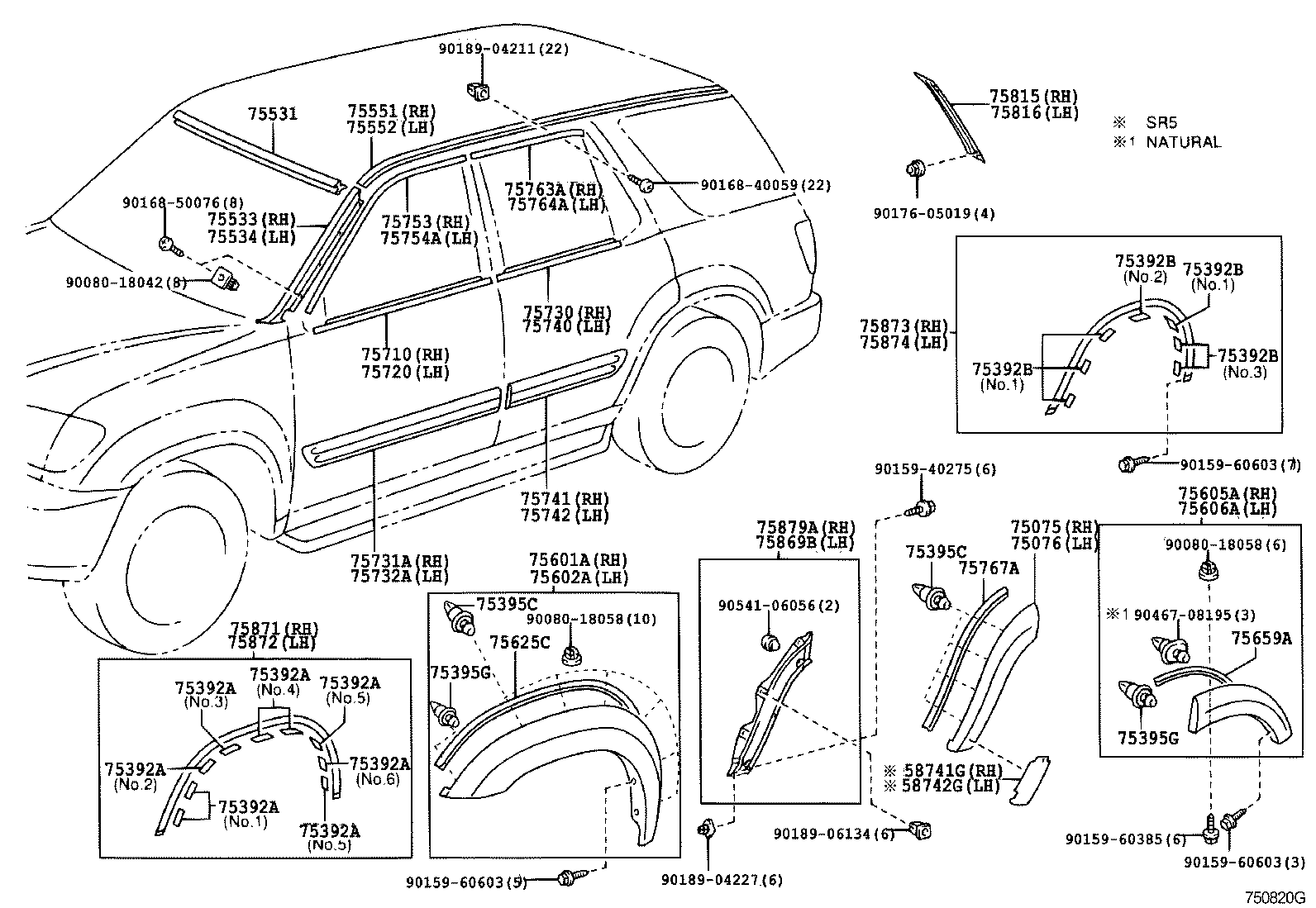  SEQUOIA |  MOULDING