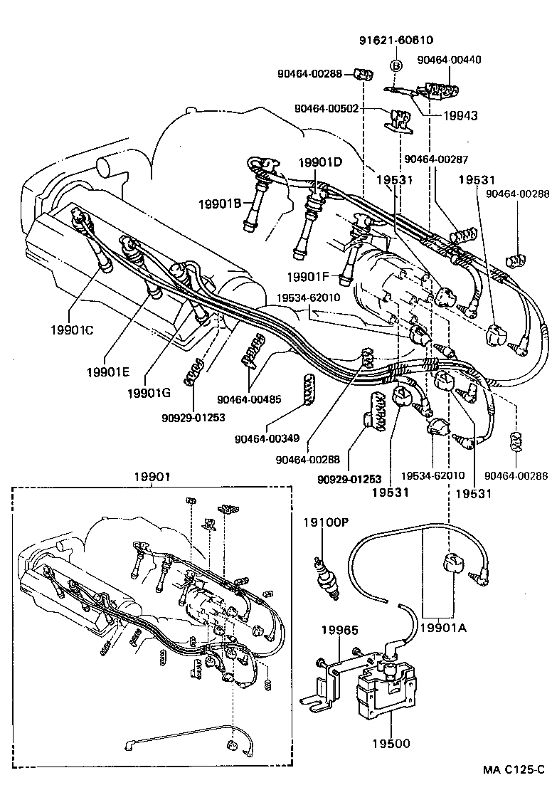  ES250 |  IGNITION COIL SPARK PLUG