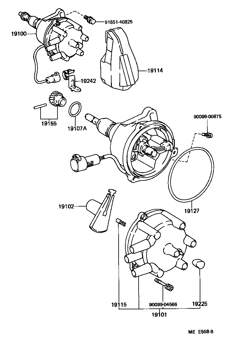  CRESSIDA |  DISTRIBUTOR