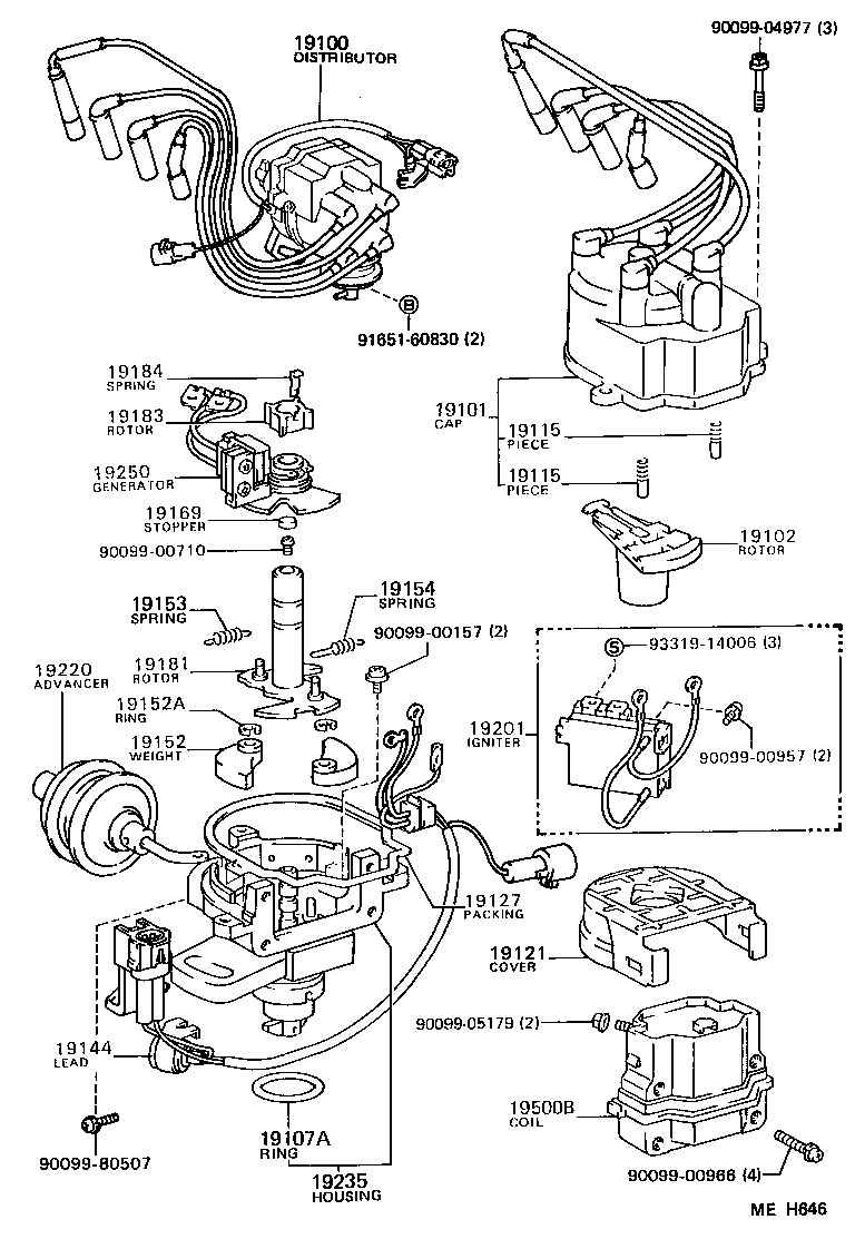  TERCEL |  DISTRIBUTOR