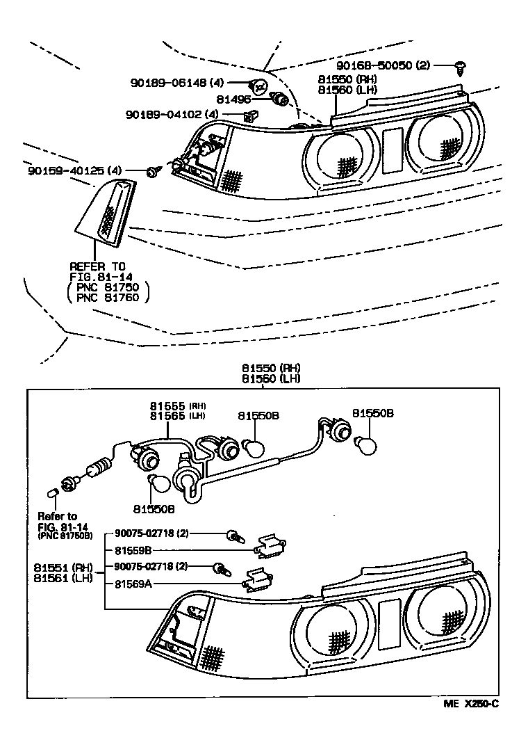  MR2 |  REAR COMBINATION LAMP