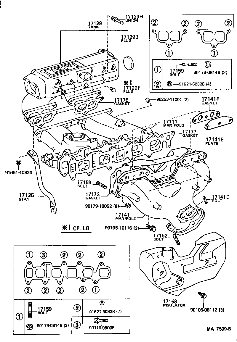  CELICA |  MANIFOLD