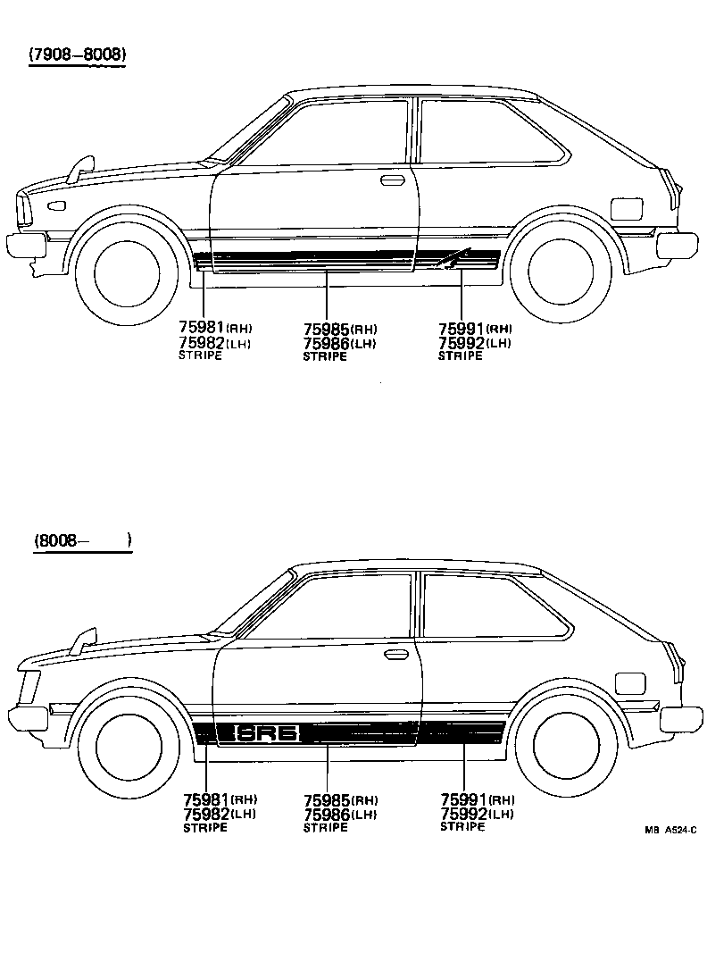  TERCEL |  BODY STRIPE
