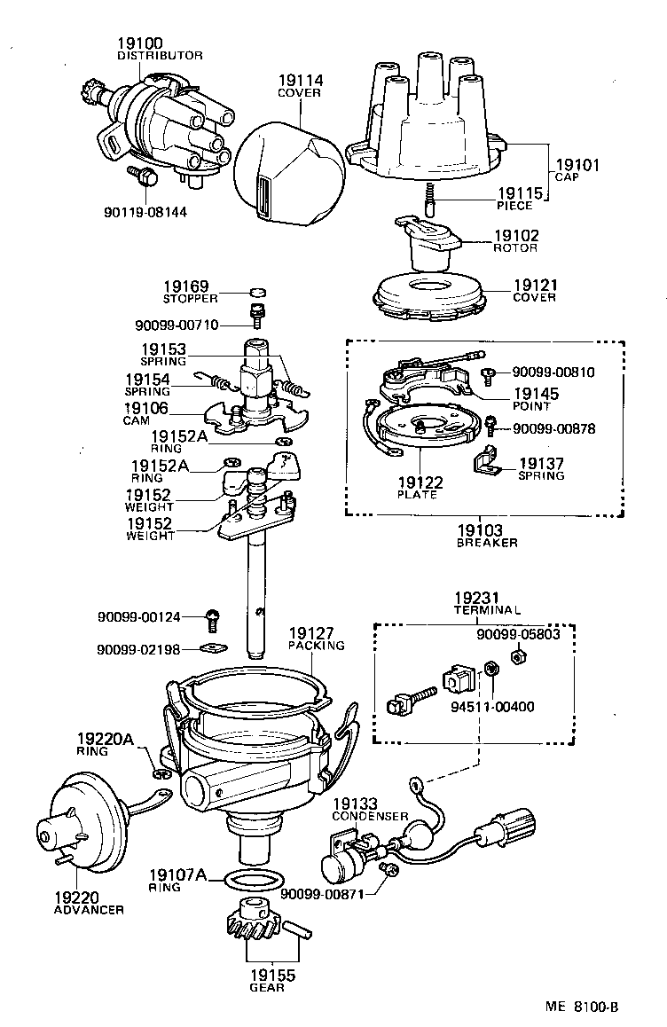  TERCEL |  DISTRIBUTOR