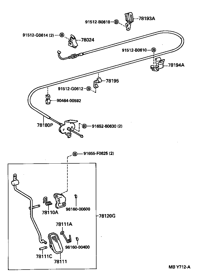  CARINA E SED LB JPP |  ACCELERATOR LINK