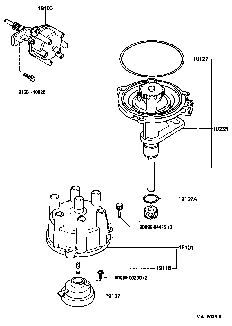  SUPRA |  DISTRIBUTOR