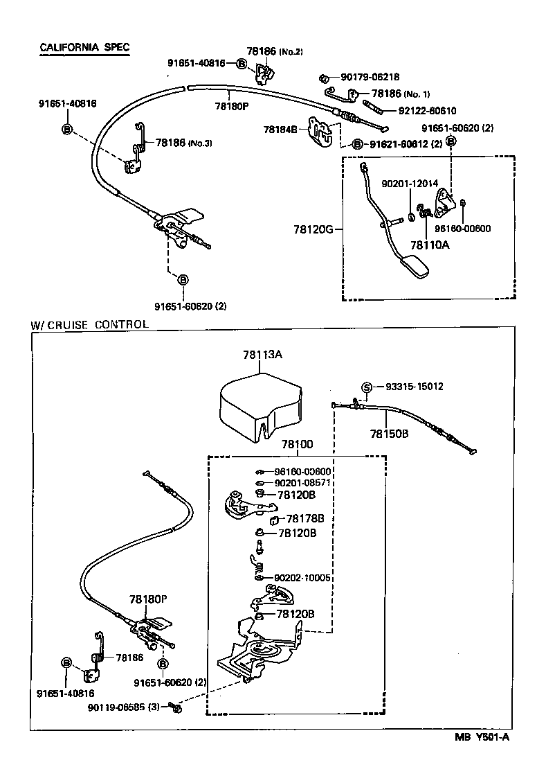  PASEO |  ACCELERATOR LINK