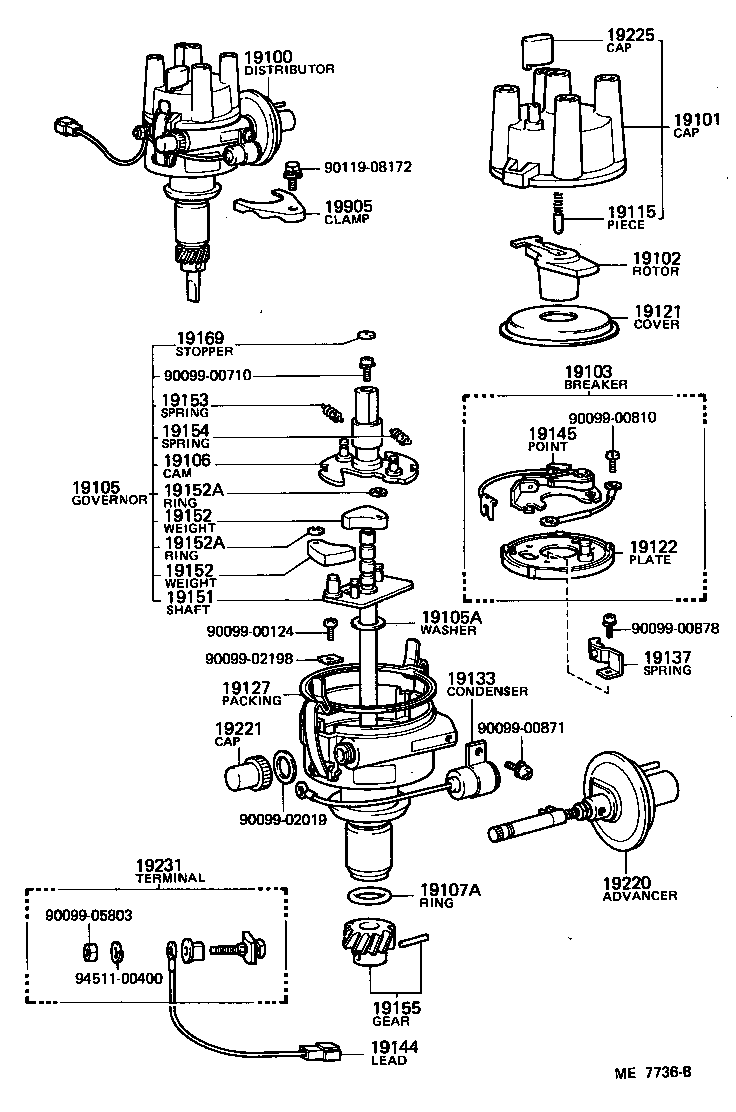  TOYOACE |  DISTRIBUTOR