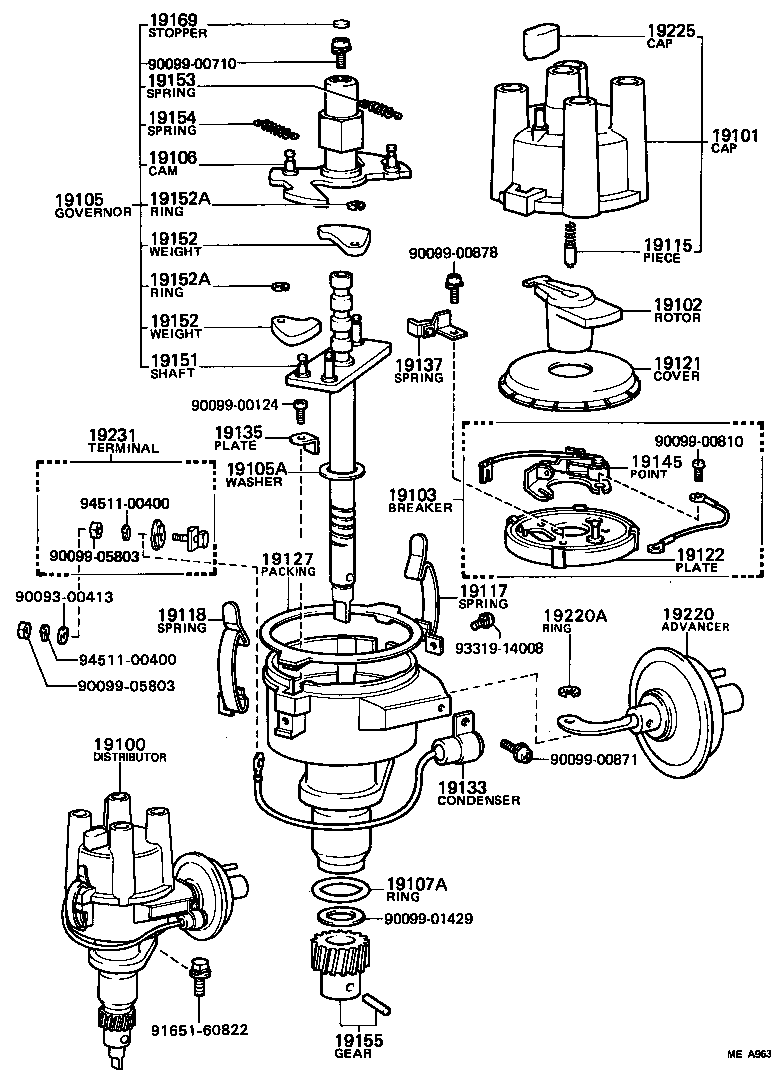  STARLET |  DISTRIBUTOR