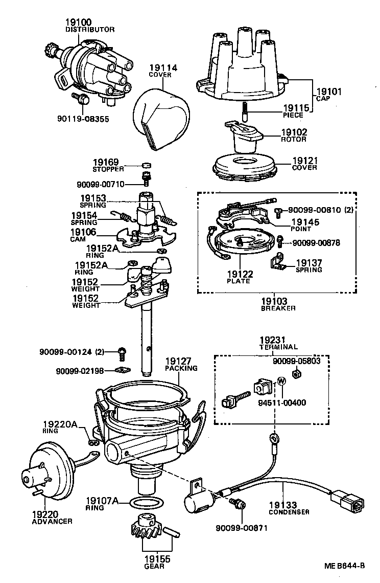  TERCEL |  DISTRIBUTOR