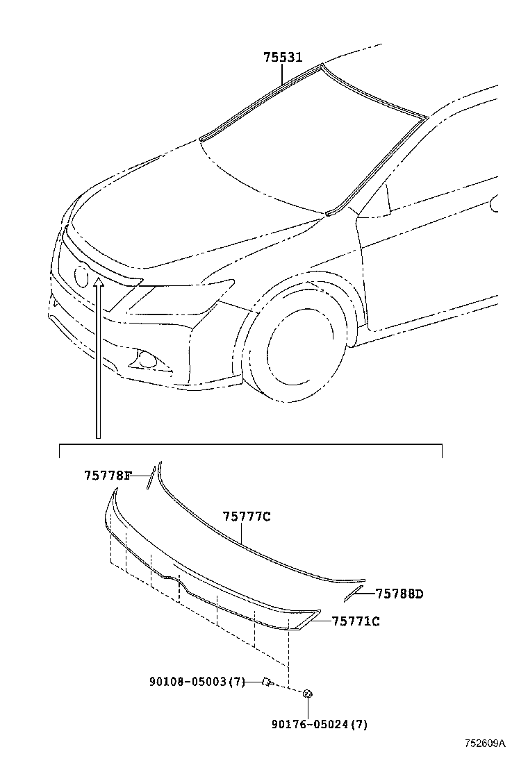  CAMRY HYBRID ASIA |  FRONT MOULDING