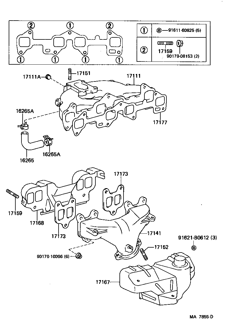  STARLET |  MANIFOLD