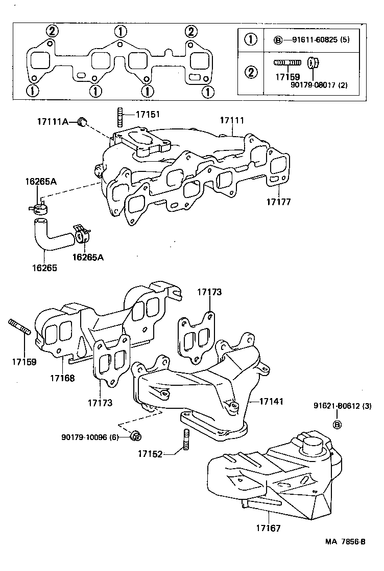  STARLET |  MANIFOLD