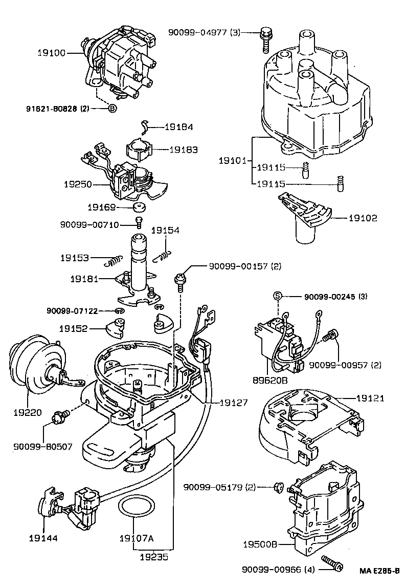  TERCEL |  DISTRIBUTOR