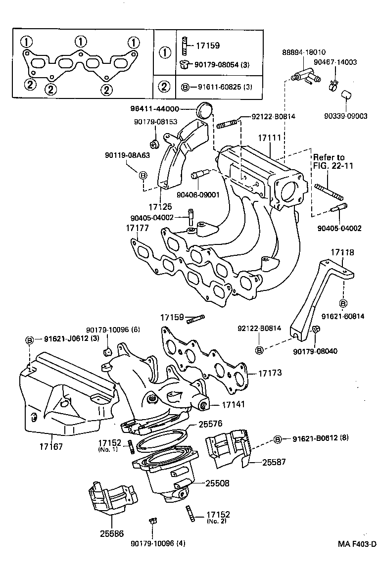  STARLET |  MANIFOLD