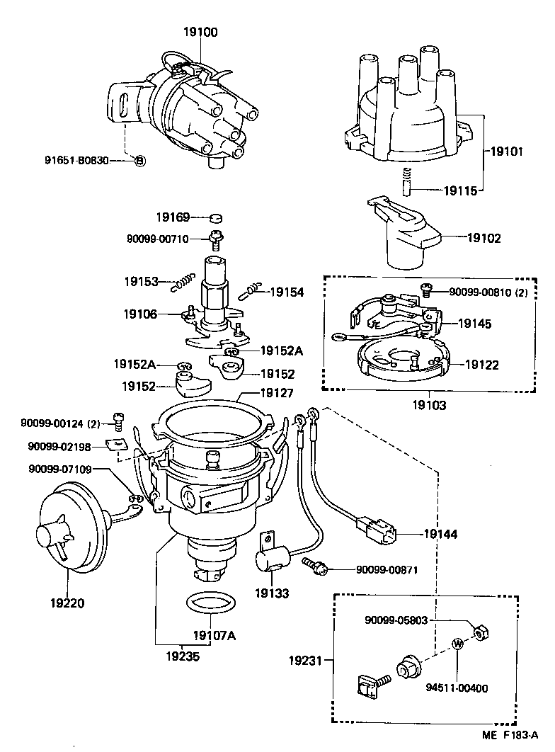  STARLET |  DISTRIBUTOR