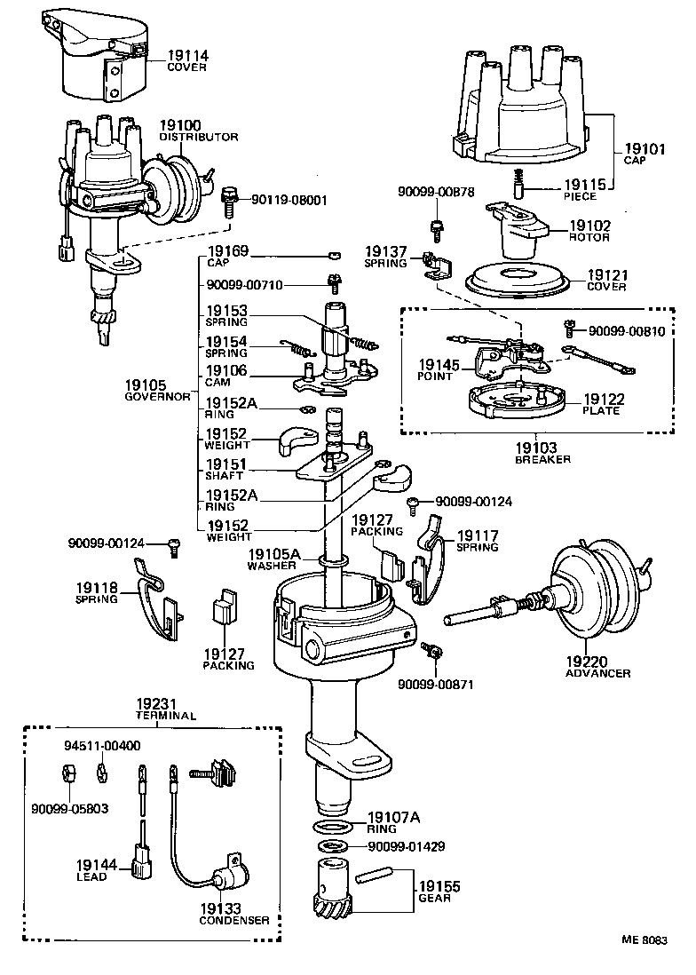  CARINA |  DISTRIBUTOR