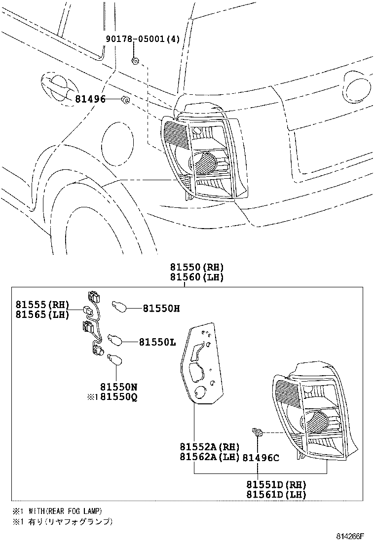  IST |  REAR COMBINATION LAMP